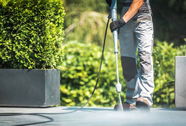 Best Sidewalk and Walkway Cleaning  in Bonham, TX