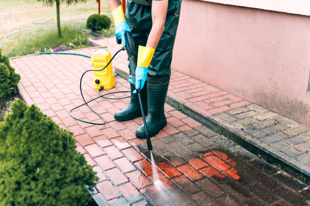 Animal Enclosure Cleaning in Bonham, TX